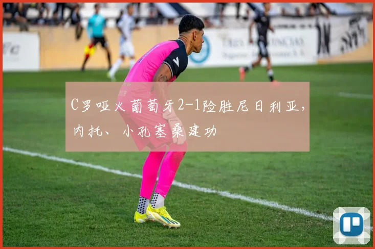 C罗哑火葡萄牙2-1险胜尼日利亚,内托、小孔塞桑建功
