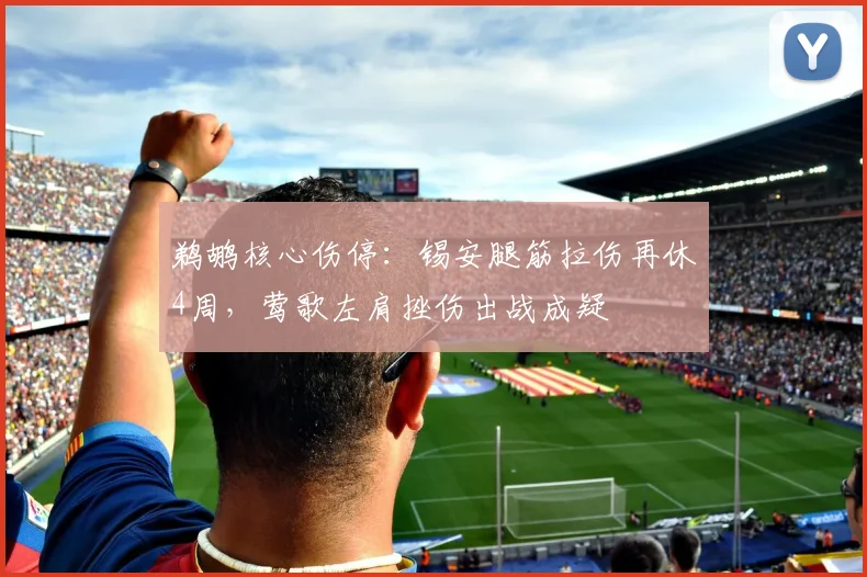 鹈鹕核心伤停：锡安腿筋拉伤再休4周，莺歌左肩挫伤出战成疑